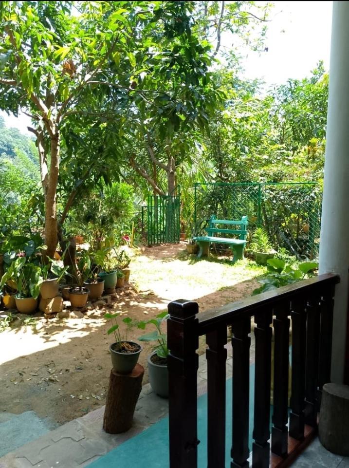 Pasan Guest Bed & Breakfast Ella Exterior photo